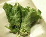 お弁当にキャベツとレタスの巻き巻きサラダ作り方5写真