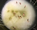 俺流！春の豆ご飯（桜風味）作り方2写真