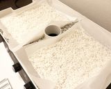 サクッとした食感♪自家製米粉の天ぷら作り方1写真