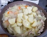 お肉ゴロゴロ、野菜の味しっかり！カレー作り方11写真