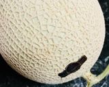 自由な☆生ハム＆メロン作り方1写真