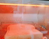 切り込み入れて、耳までサクサクトースト！作り方2写真