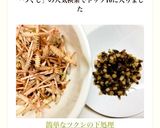 簡単なツクシの下処理作り方15写真