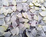 干大根の旨味醤油漬け(簡単)作り方1写真