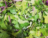 赤水菜の常備菜♪副菜やお弁当にも作り方1写真