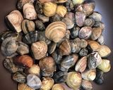 2合・あさりご飯・はまぐり炊き込みご飯作り方1写真