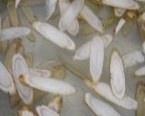 食物繊維たっぷり！ごぼうのポタージュ作り方5写真