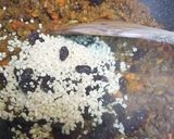 レーズンアーモンド入りキーマカレー作り方10写真