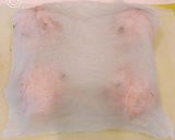 HBと食パン型で、マーブルチョコ山形パン作り方3写真