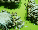簡単！あると便利なしめじの冷凍保存方法作り方1写真