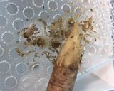 今が旬！おろしごぼう入り鶏ハンバーグ作り方2写真