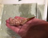 太っちょ裏技まっすぐエビフライ 卵なし作り方14写真