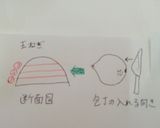 初めてでも簡単！タマネギのみじん切り作り方2写真