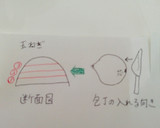 初めてでも簡単！タマネギのみじん切り作り方2写真