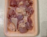 塩・レモン唐揚げ作り方1写真