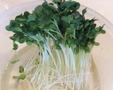 ♧大葉薫る＊豚肩ロース肉のしょうが焼き作り方1写真