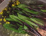 紅菜苔のサラダ作り方2写真