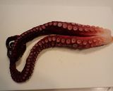 タコねぎポン酢作り方1写真