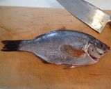 ウミタナゴの刺身作り方3写真