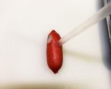 ストローで♡ウインナーの着ぐるみちゃん作り方4写真
