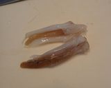 ヤリイカの肝和え丼作り方3写真