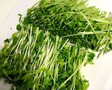 豆苗と舞茸の和えもの作り方1写真