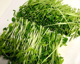 豆苗と舞茸の和えもの作り方1写真