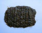 母の味☆もずくと貝の粕汁作り方3写真