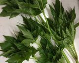 明日葉☆明太マヨ和え作り方1写真