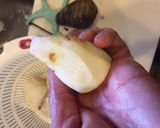 いもぼう（棒ダラと海老芋・里芋の煮物）作り方6写真