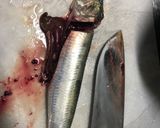鰯ときのこのトマト煮込み作り方1写真