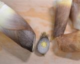 タケノコの下茹での仕方作り方1写真