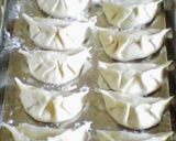 美味い羽根付き餃子（カロリー控えめ）作り方2写真