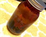 簡単薬膳！美容に◎クコなつめ果実酒作り方3写真