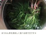 すりごまたっぷり！ほうれんそうの胡麻和え作り方1写真