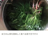 すりごまたっぷり！ほうれんそうの胡麻和え作り方1写真