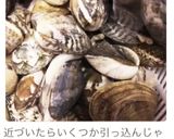 これで完璧！あさりの砂抜き方法♪作り方10写真
