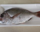 油揚げ入り♪鯛めし+筍ご飯=鯛めし筍ご飯作り方4写真