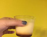 １種の卵液で２種類のプリン生クリーム不要作り方9写真