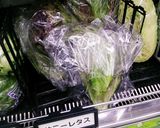 レタスは寝て待て♪しなびた外葉復活方法作り方1写真