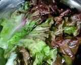 レタスは寝て待て♪しなびた外葉復活方法作り方4写真