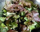 レタスは寝て待て♪しなびた外葉復活方法作り方5写真