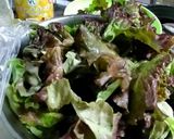 レタスは寝て待て♪しなびた外葉復活方法作り方7写真