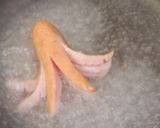 おおきな たこさんウインナー作り方17写真