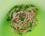 簡単！もやしとカイワレの旨塩ナムル作り方6写真