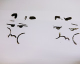 クレヨンしんちゃん♪シロと一緒キャラ弁♪作り方4写真