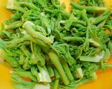 ⌘はぁ〜るが来たぁ♬たらの芽胡麻味噌和え作り方4写真
