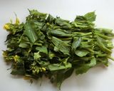 菜の花と新玉ねぎのかき揚げ☆作り方1写真