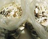 糖質制限の朝食に！ きのこトマト豆腐作り方5写真