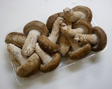 簡単！ピリ辛☆椎茸の黒胡椒炒め作り方1写真